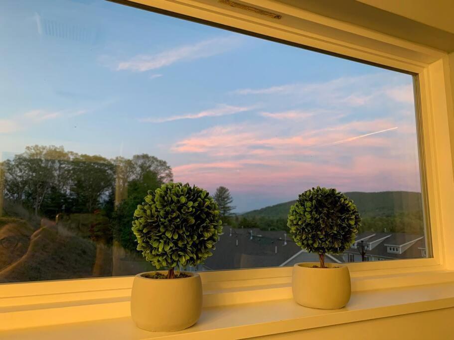 Newly Built Townhome Close To The Asheville Sites Candler Eksteriør bilde